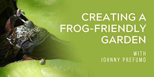 Imagem principal do evento Creating a Frog Friendly Garden