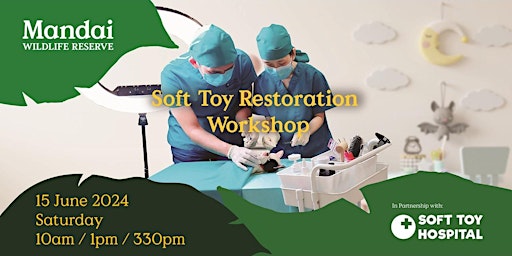 Image principale de Soft Toy Restoration Workshop (Paid)