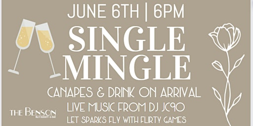 Single Mingle - Early Bird book before 19.05.2024 primary image