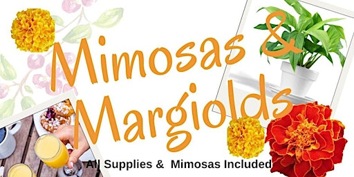 Imagem principal do evento Mother's Day: Mimosas  Marigolds