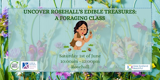 Imagem principal do evento Uncover Rosehall's Edible Treasures: A Foraging Class