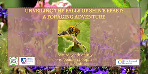 Primaire afbeelding van Unveiling the Falls of Shin's Feast: A Foraging Adventure