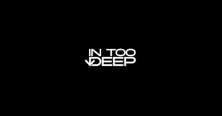 InTooDeep  - Sunset Boat Party