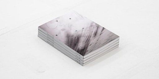 Imagem principal de Book launch: Julia Dubsky,  'M/m.A' (New Toni Press, Kirchgasse Galerie)