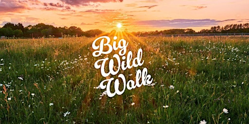 Big Wild Walk - Kenley Common  primärbild