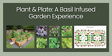 Plant & Plate: A Basil Infused Garden Experience