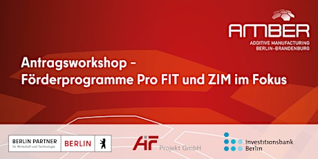 Antragsworkshop - Förderprogramme Pro FIT und ZIM im Fokus