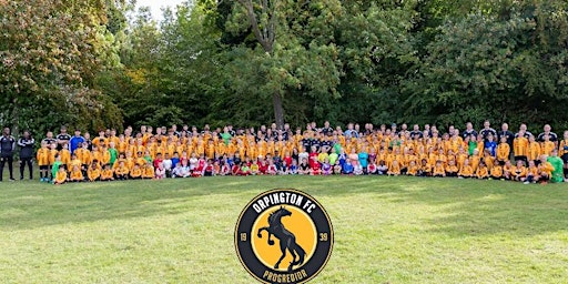 Image principale de Orpington FC Boys Mini Soccer Pre Season Tournament