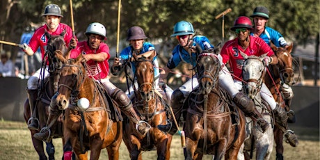 6th Annual Hering Cup Polo Tournament