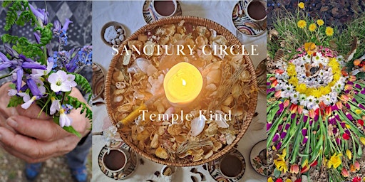 Imagem principal de Sanctuary Circle - Womens Circle with Ceremonial Cacao
