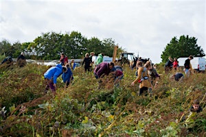 Community Farmer Day - 28th September - celebrating our volunteers!  primärbild