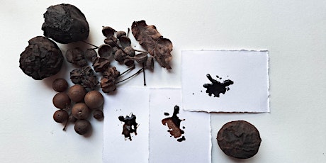 Botanical Ink Making: Tannin Blacks