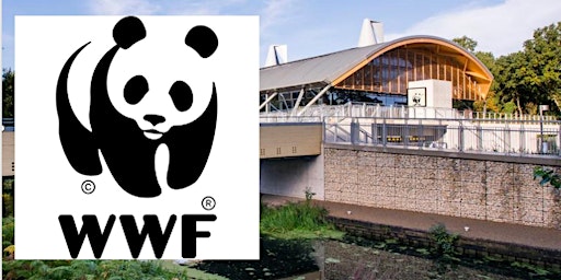 Tour of WWF UK Office: Living Planet Centre primary image