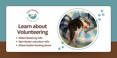 Primaire afbeelding van Learn about Volunteering for Little Orphans Kitten Rescue