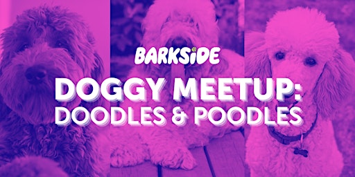 Doggy Meetup: Doodles + Poodles primary image