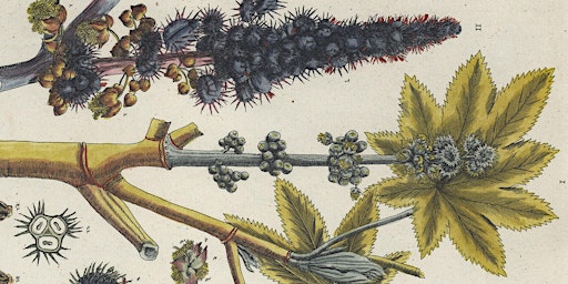 Image principale de Murderous Plants with Barney Lipscomb