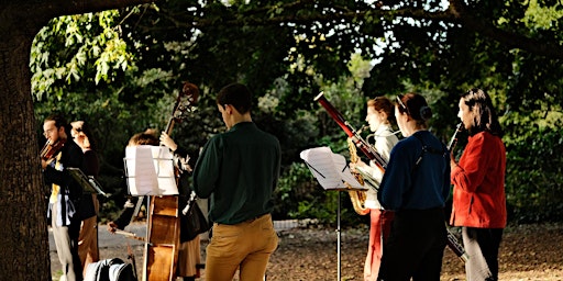 Immersive Live Music Performance Trail by Treephonia primary image