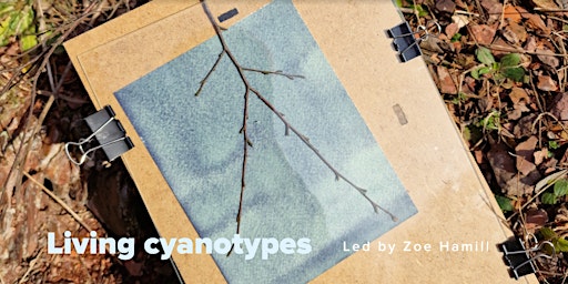 Imagem principal do evento WORKSHOP // Living cyanotypes