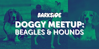 Imagem principal do evento Doggy Meetup: Beagles & Hounds