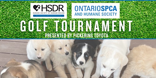 Immagine principale di Ontario SPCA 2024 Paws and Putts Charity Golf Classic 