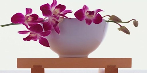 Hauptbild für Orchid Show and Sale