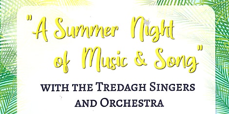 Imagem principal do evento A summer Night of Music& Song