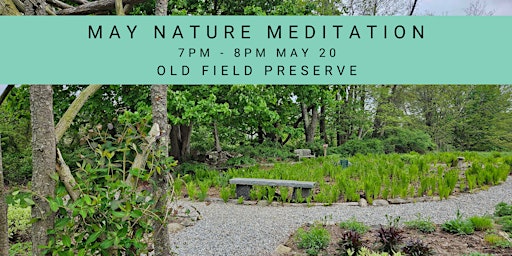 Hauptbild für May Nature Meditation