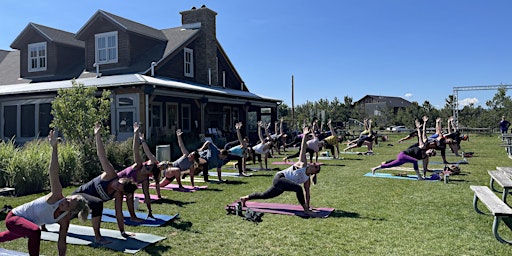Imagem principal do evento Yoga on the Yard
