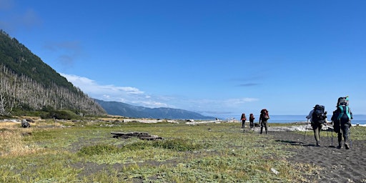 Solstice Sensory Immersion: Ecotherapy and Yoga on the  Lost Coast  primärbild