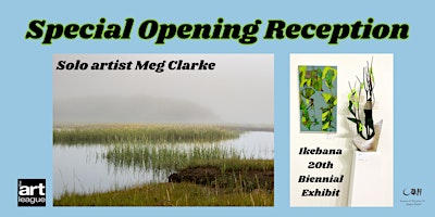 Special opening reception - Ikebana Biennial and May Solo Artist  primärbild