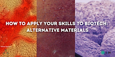 Imagem principal do evento How to Apply Your Skills to Biotech: Alternative Materials Panel