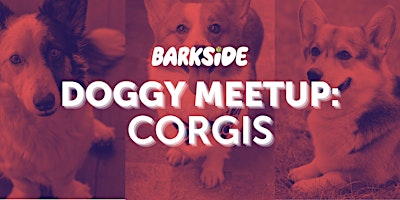 Image principale de Doggy Meetup: Corgis