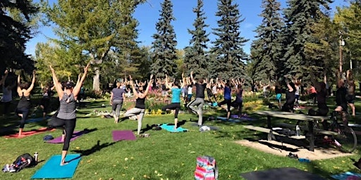 Immagine principale di Outdoor Yoga Every Sunday 1pm in Calgary's Stanley Park (SW) 