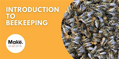 Introduction to Beekeeping  primärbild