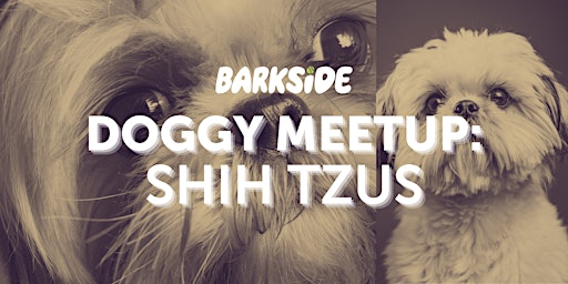 Imagem principal do evento Doggy Meetup: Shih Tzus