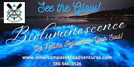 Bioluminescence Paddle Tours 2024