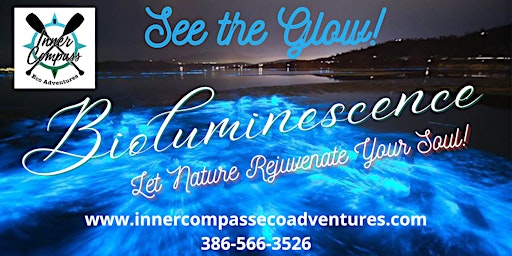 Bioluminescence Paddle Tours 2024 primary image