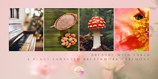 Breathe with Earth  - plant enhanced breathwork ceremony primary image