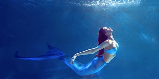 Imagem principal do evento Aquatic Elegance: Unveiling the Secrets of the Deep