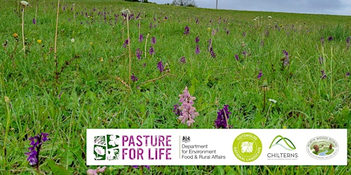 Hauptbild für Wildflowers and species rich calcareous grasslands  at Ampney Down Farm