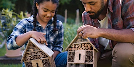 Build a Bee Hotel
