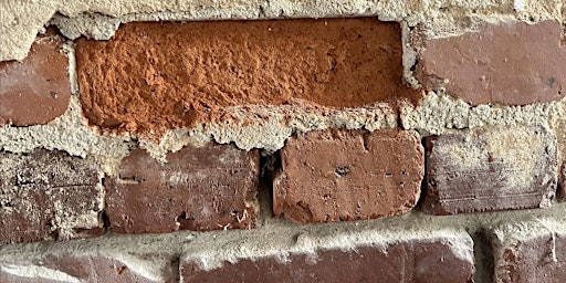 Hauptbild für Brick Repointing Workshop