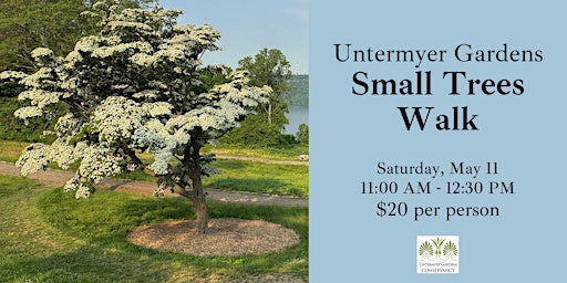 Imagem principal do evento Small Trees for your Yard