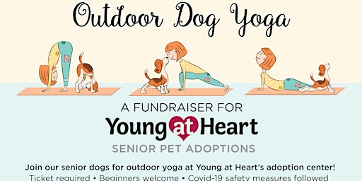 Imagem principal do evento Outdoor Dog Yoga At Young At Heart