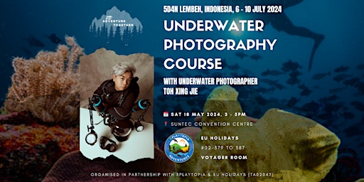 Imagen principal de Underwater Photography Course in Lembeh with Toh Xing Jie - Free Talk