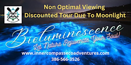 DISCOUNTED Bioluminescence Tour (not optimal-bright moonlight during tours) primary image