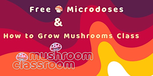 Imagem principal do evento Free Microdoses & How to Grow Mushrooms Class