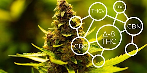 Discover Emerging Cannabinoids primary image