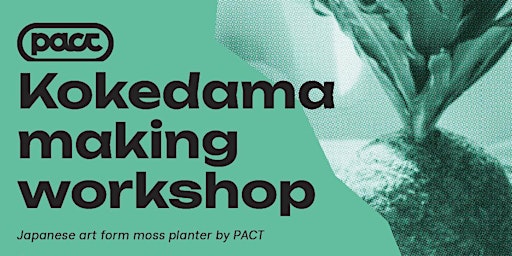 Kokedama Making Workshop  primärbild