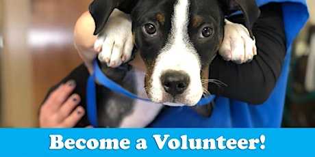 Berkeley Humane Volunteer Orientation 5/16